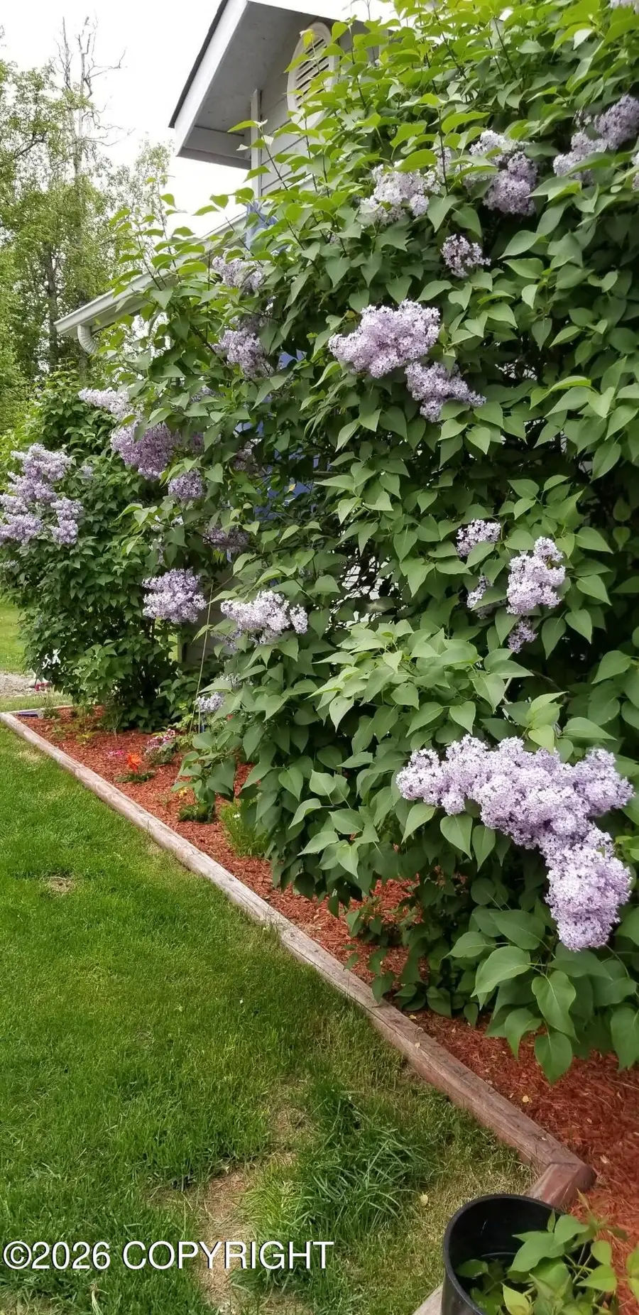 8961 W Sanderling Drive, Wasilla, AK 99623 - Image #3