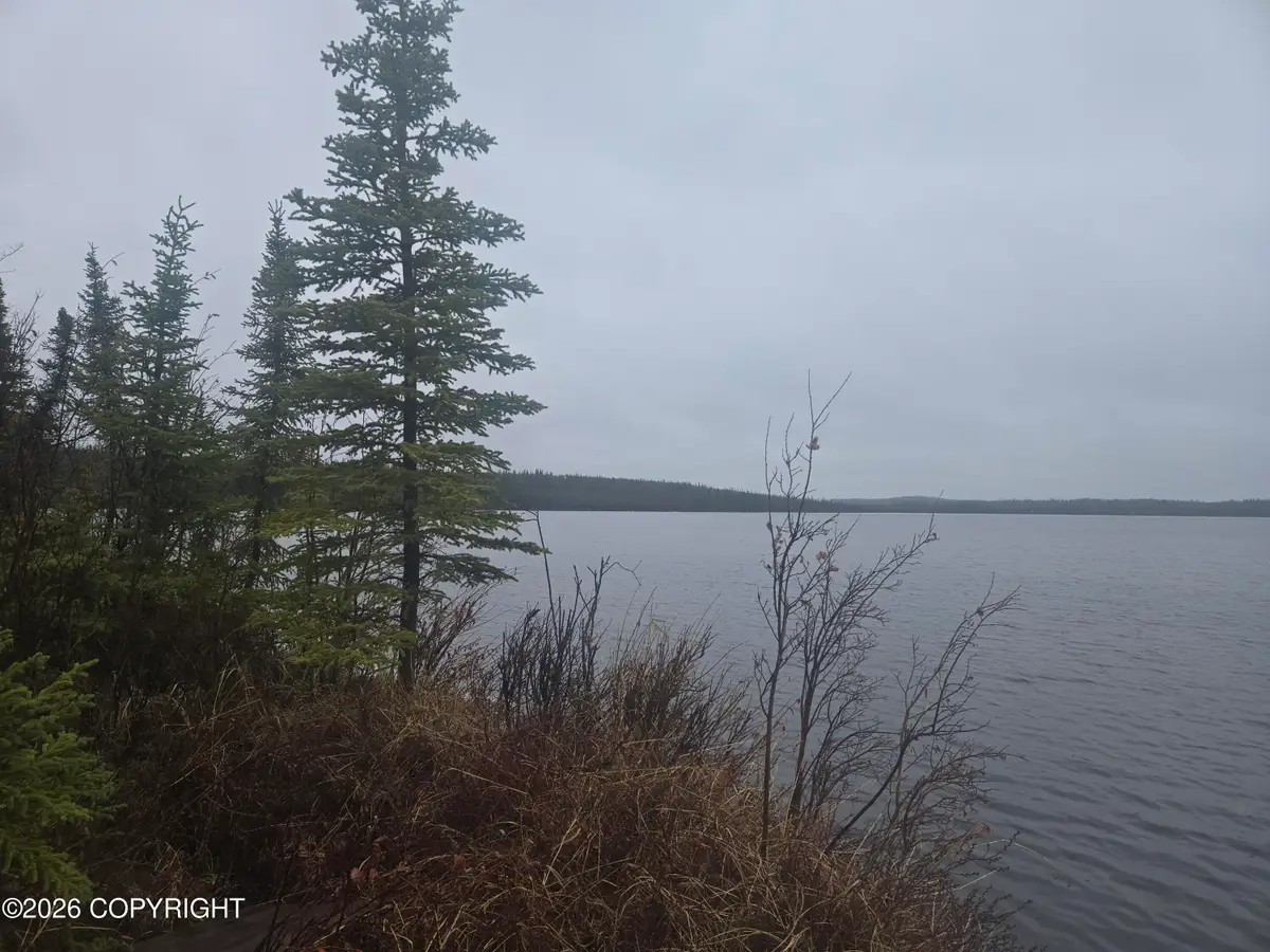 Mile .05 Tolsona Lake Road, Glennallen, AK 99588 - #1