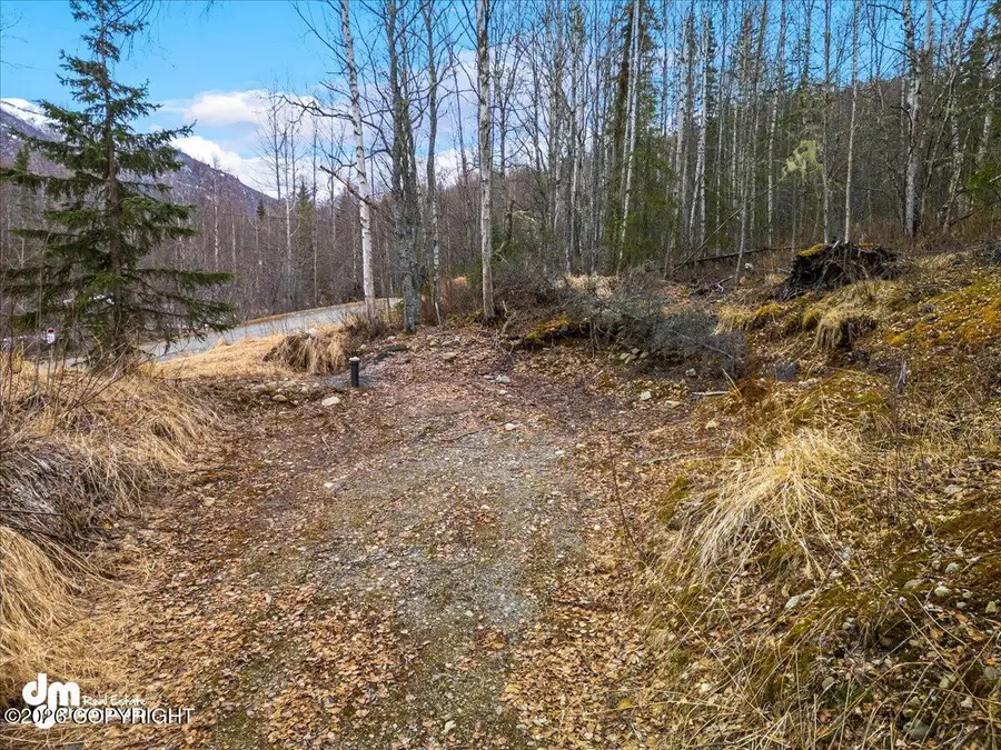 L11 Jasmine Road, Chugiak, AK 99567 - #2