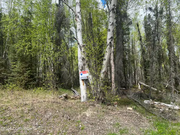 3762 N White Knight Drive, Wasilla, AK 99654