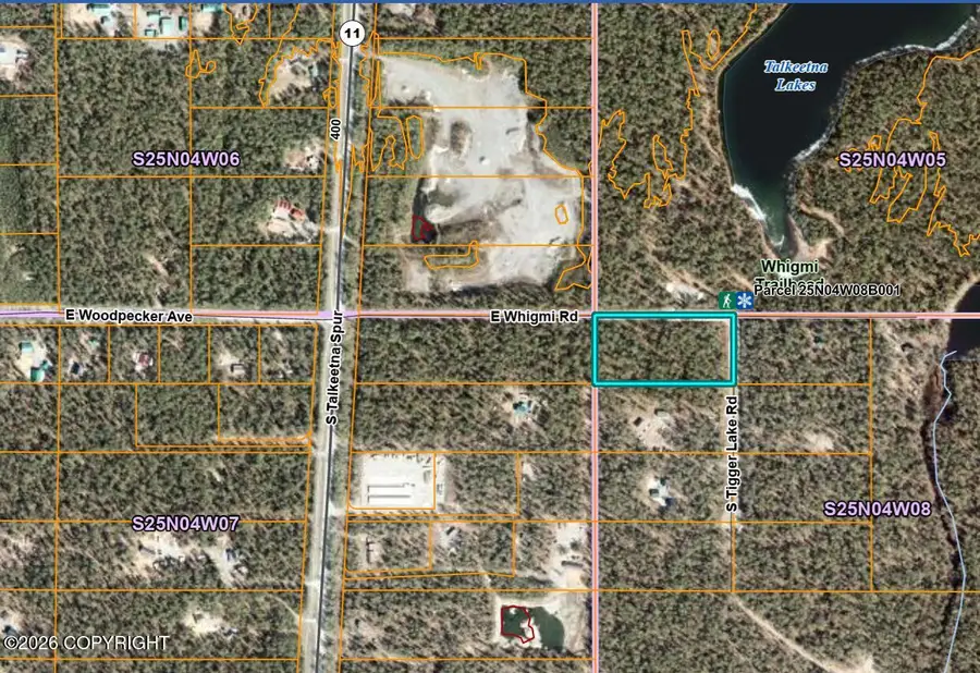 26038 S Tigger Lake Road, Talkeetna, AK 99676 - #3