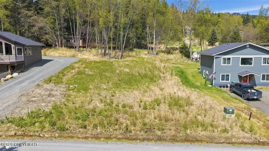 1080 Nelson Avenue, Homer, AK 99603 - #3
