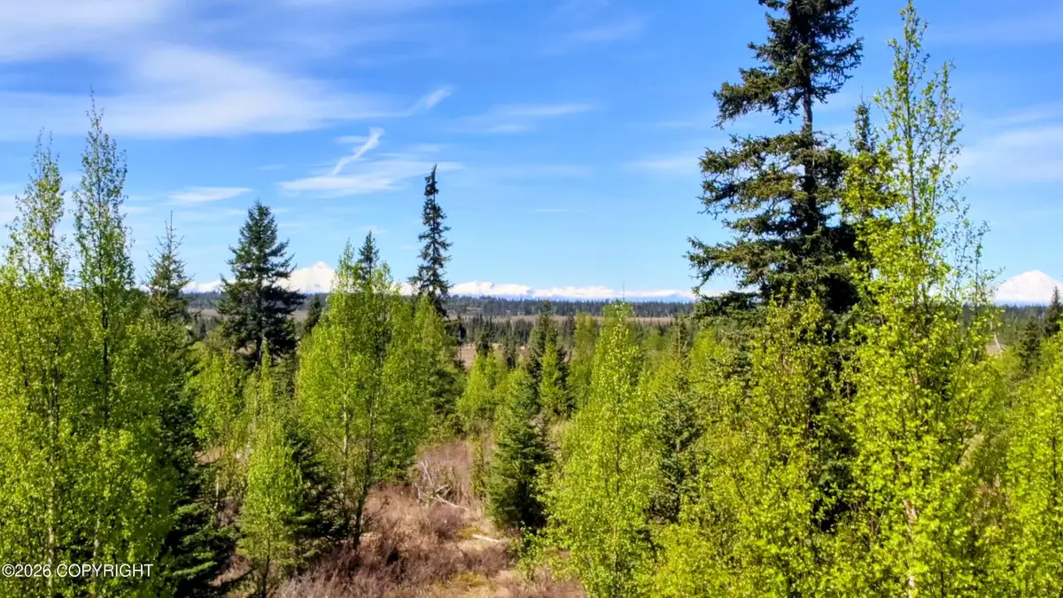 67848 St John Street, Happy Valley, AK 99556 - #1