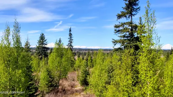 67848 St John Street, Ninilchik, AK 99556