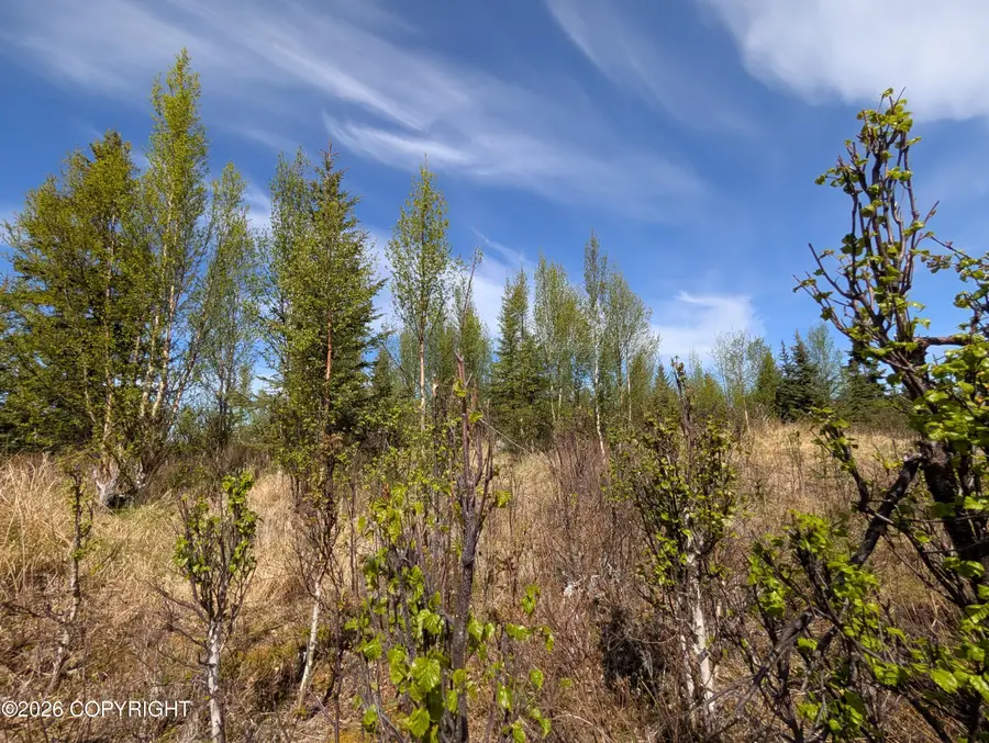 67848 St John Street, Happy Valley, AK 99556 - #3