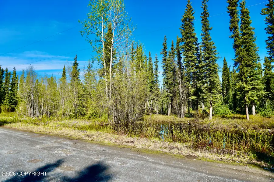 L2 4th Street, Glennallen, AK 99588 - #2
