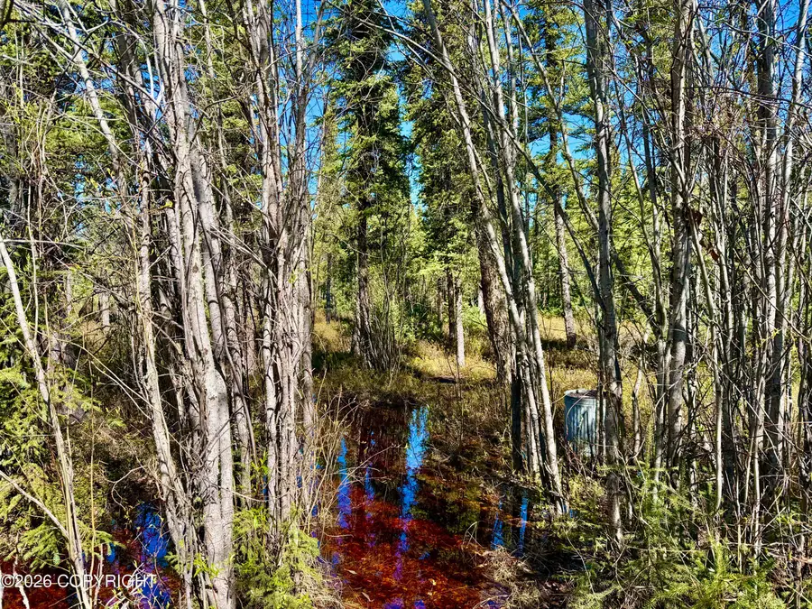 L2 4th Street, Glennallen, AK 99588 - #3