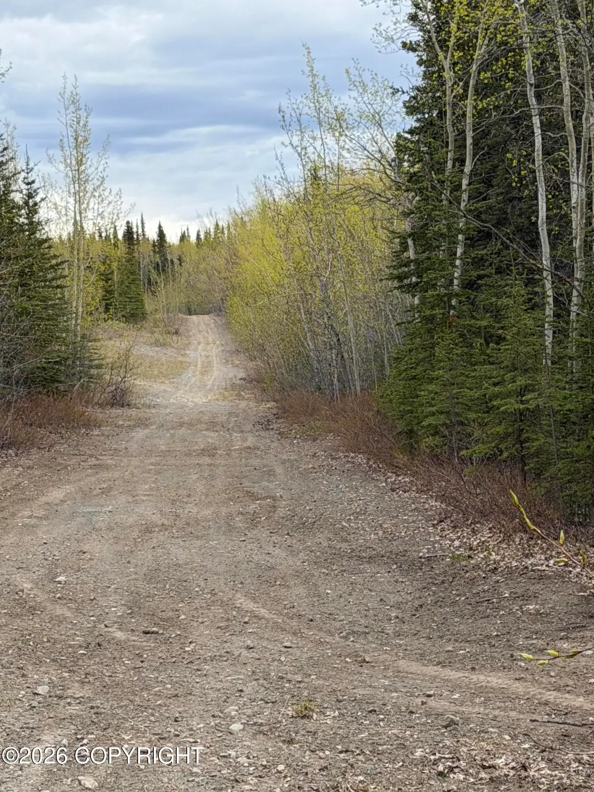 Mile 89 Richardson Highway, Copper Center, AK 99573 - #1