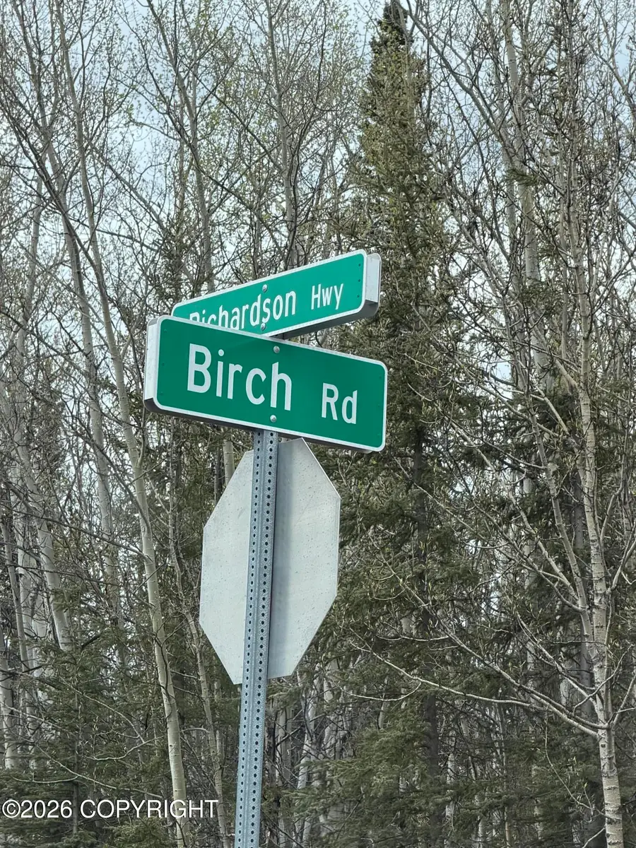 Mile 89 Richardson Highway, Copper Center, AK 99573 - #3
