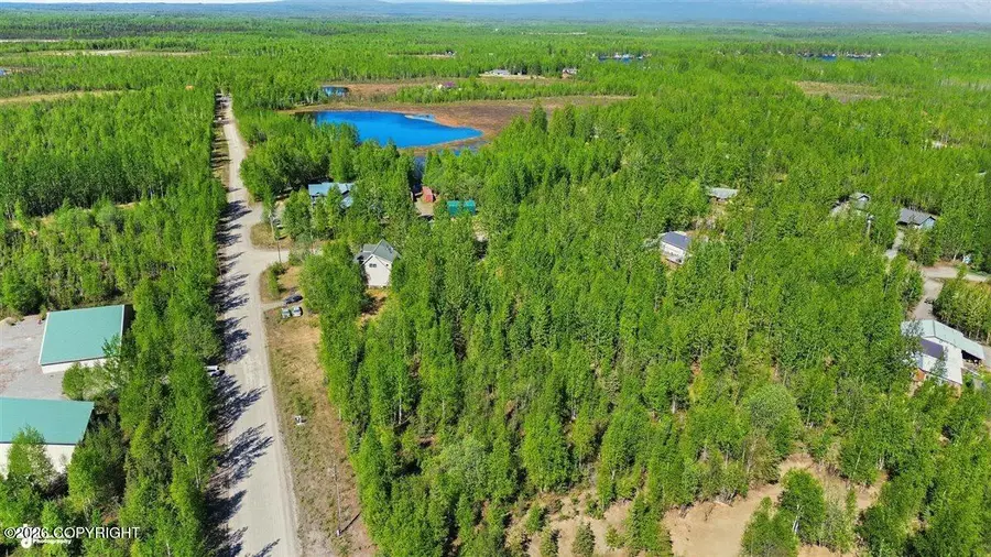 3127 S Buoyant Drive, Wasilla, AK 99623 - #2