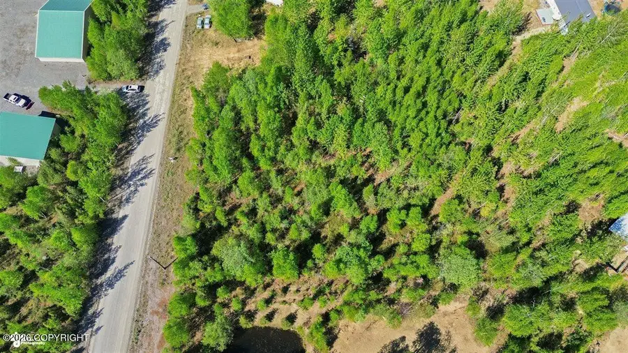 3127 S Buoyant Drive, Wasilla, AK 99623 - #3