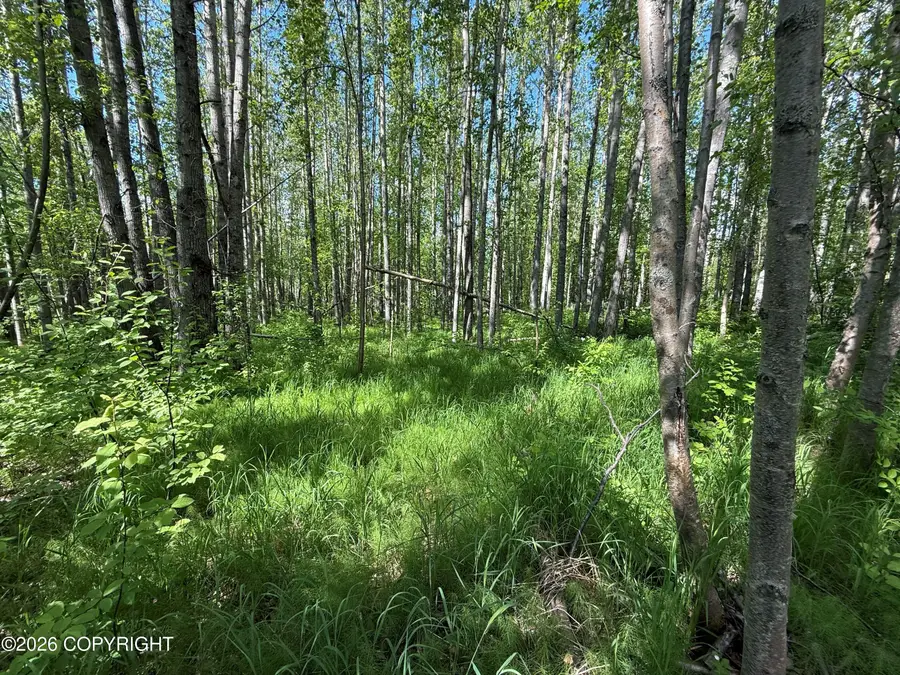 10720 S Old Glenn Highway, Palmer, AK 99645 - #3