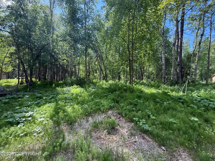 8054 S Bending Birch Circle, Palmer, AK 99645 - #3