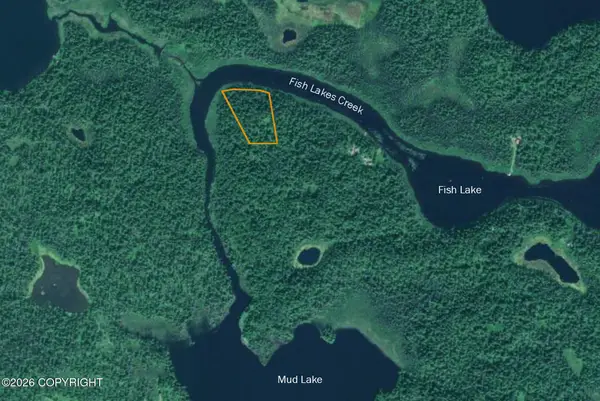 389 Fish Lake Creek, Skwentna, AK 99667