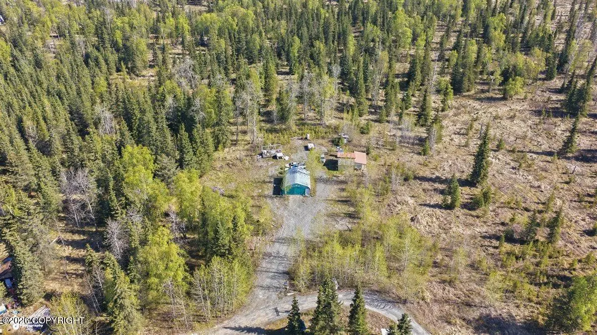 63820 Evergreen Avenue, Ninilchik, AK 99639 - #1