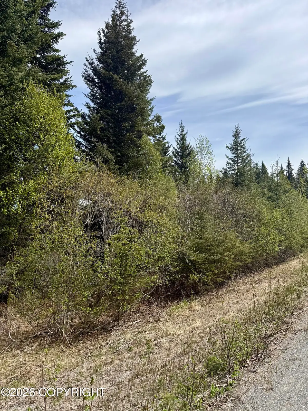 37334 Rogue Circle, Anchor Point, AK 99556 - #1