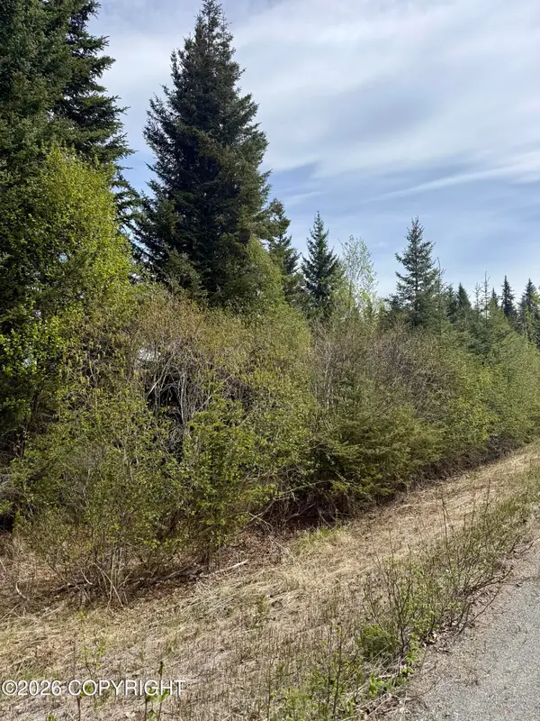 37334 Rogue Circle, Anchor Point, AK 99556
