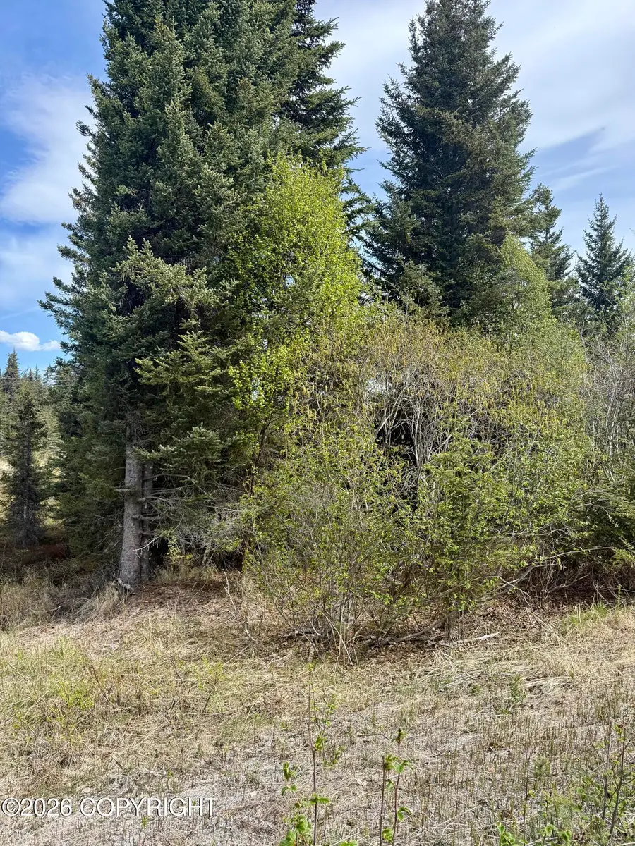 37334 Rogue Circle, Anchor Point, AK 99556 - #2
