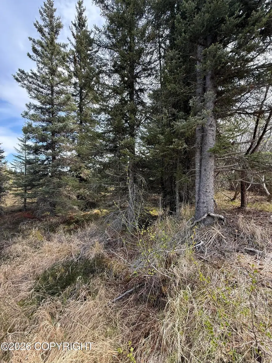 37334 Rogue Circle, Anchor Point, AK 99556 - #3