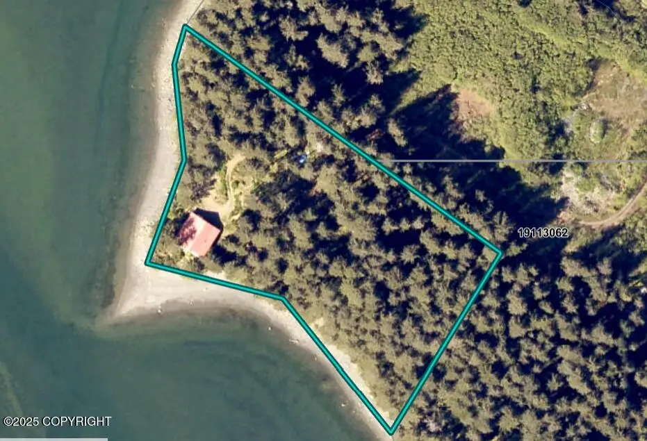 60187 Chesloknu Lease, Seldovia, AK 99663 - #1