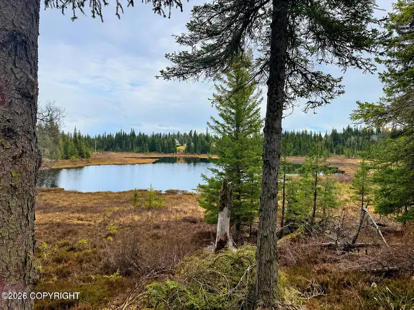 36118 Old Sterling Highway, Anchor Point, AK 99556