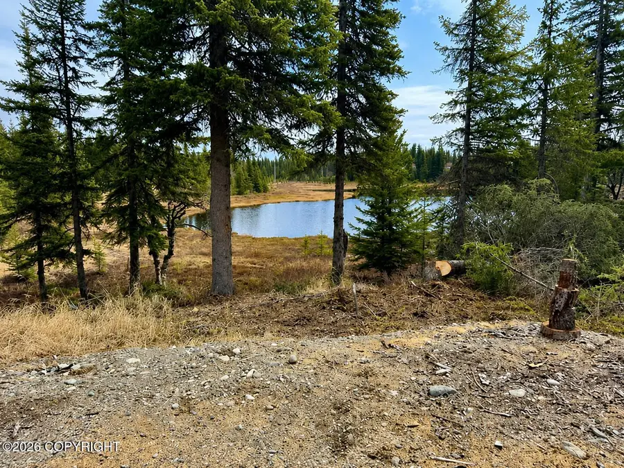 36118 Old Sterling Highway, Anchor Point, AK 99556 - #2