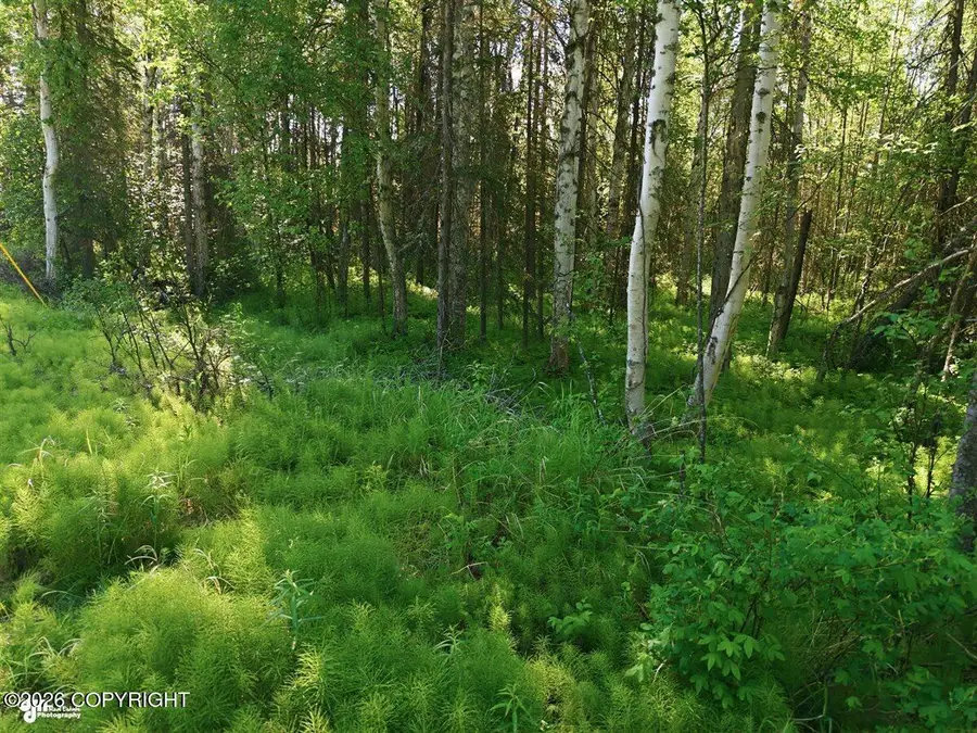 6250 W Karen Street, Wasilla, AK 99623 - #3