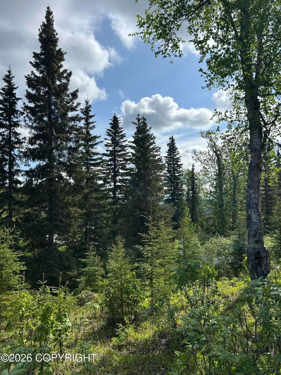 34815 Schwalm Road, Soldotna, AK 99669 - #3