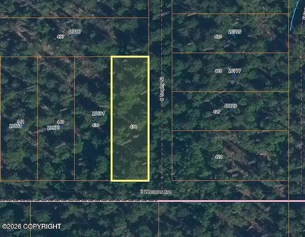 L438 Whopper Avenue, Willow, AK 99688