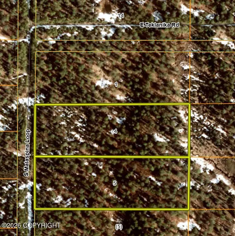 36055 S Malaspina Loop, Talkeetna, AK 99676 - #1