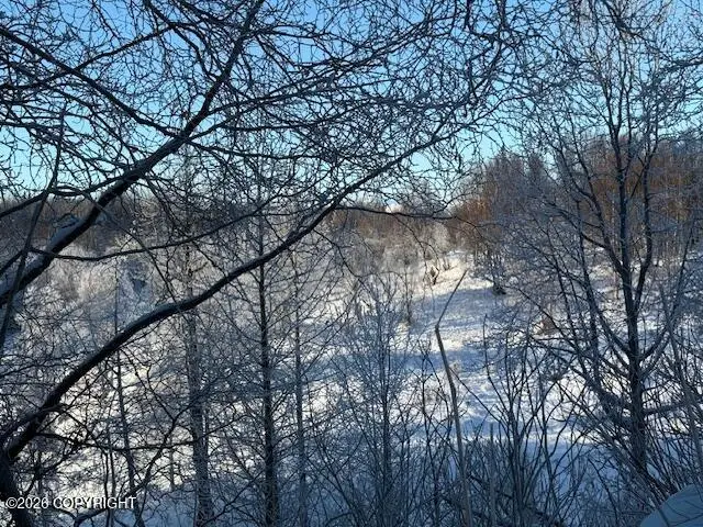 000 Rounds Rd. To Charlies Way, Nikiski, AK 99611 - Image #2