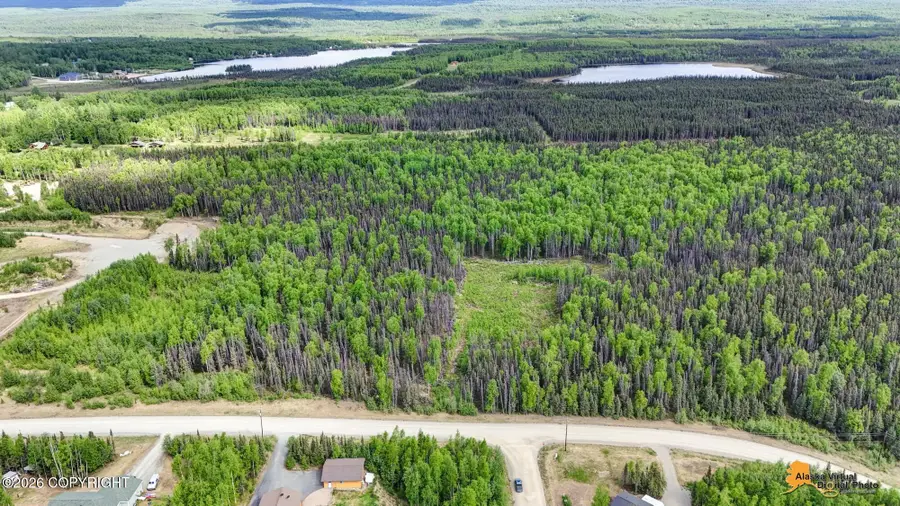 NHN W Zehnder Road, Wasilla, AK 99654 - #3