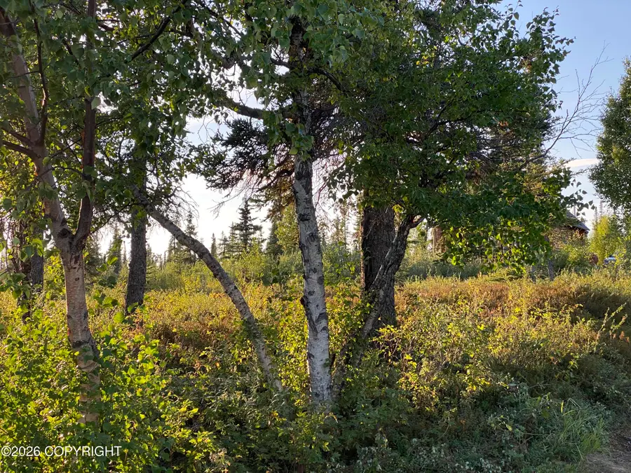 L2 B7 Keyes Point, Lake And Peninsula, AK 99653 - #3
