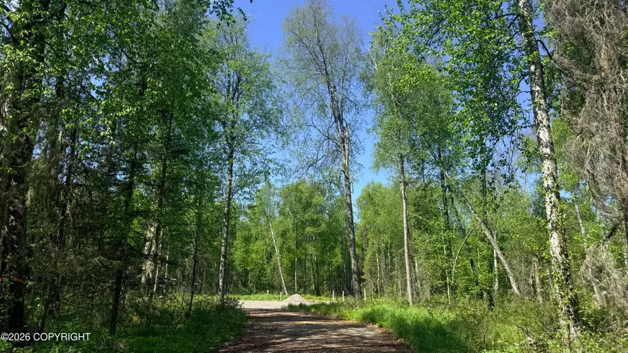 26660 S Talkeetna Spur Road, Talkeetna, AK 99676 - #3