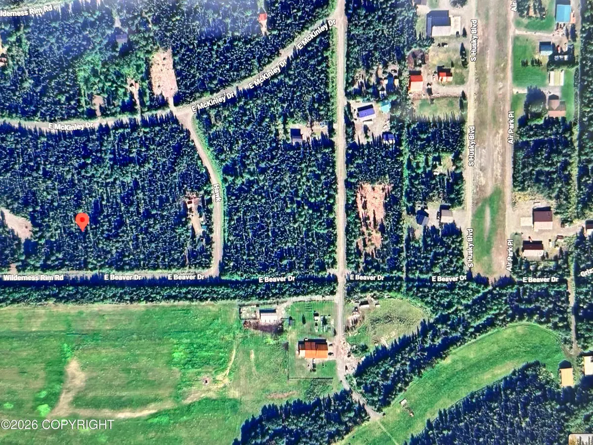 13903 E Beaver Drive, Willow, AK 99688 - #1
