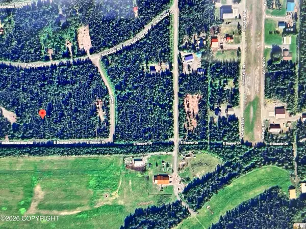 13903 E Beaver Drive, Willow, AK 99688