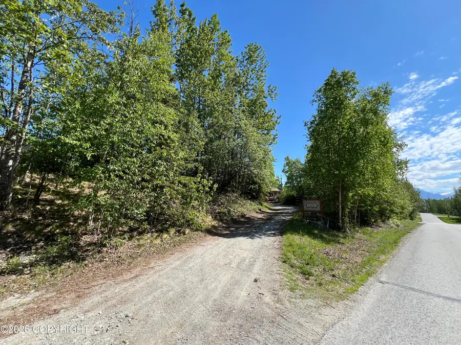 1075 N Shenandoah Drive, Palmer, AK 99645 - #2