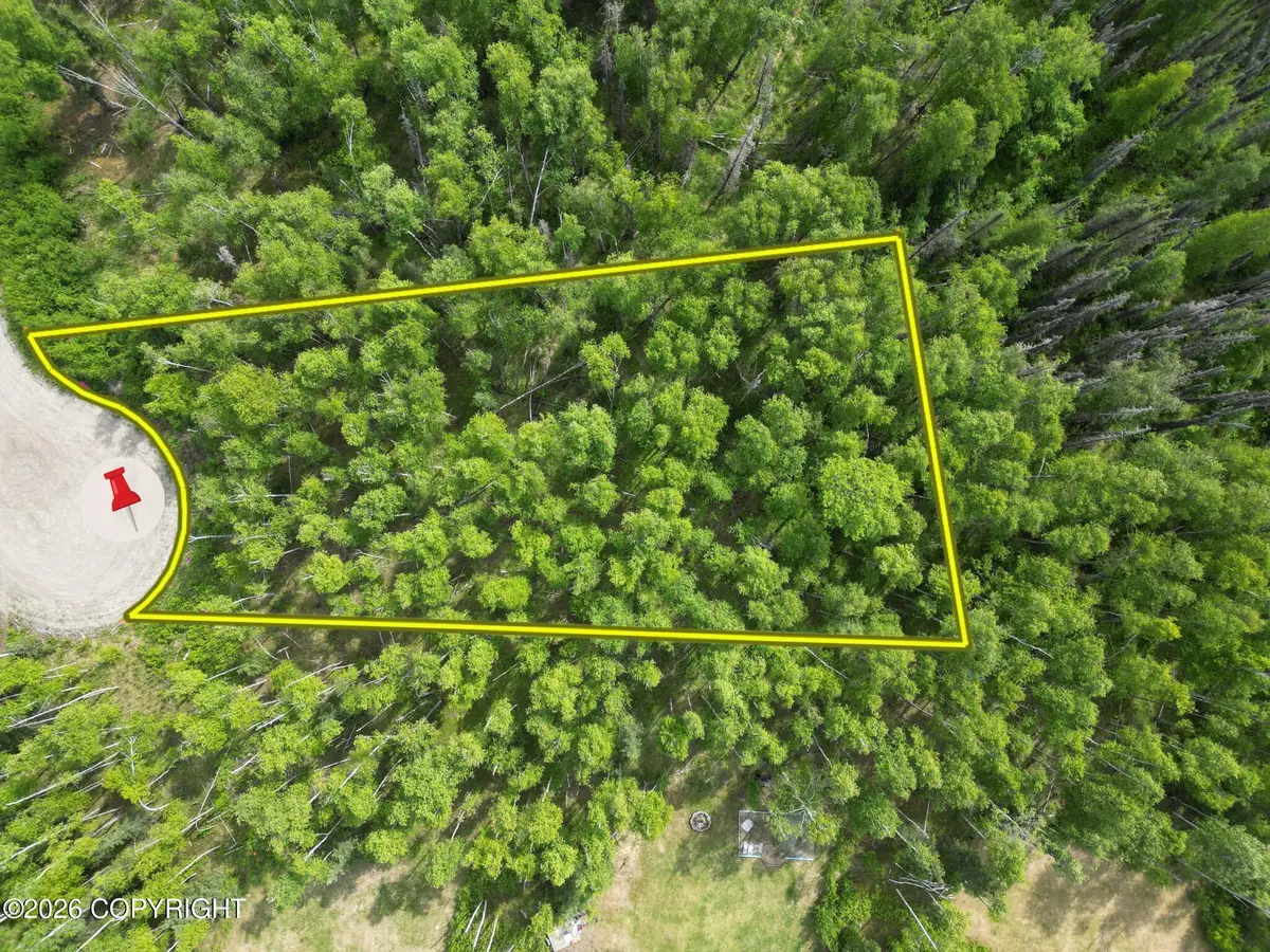4504 N Great Horn Circle, Wasilla, AK 99654 - #1