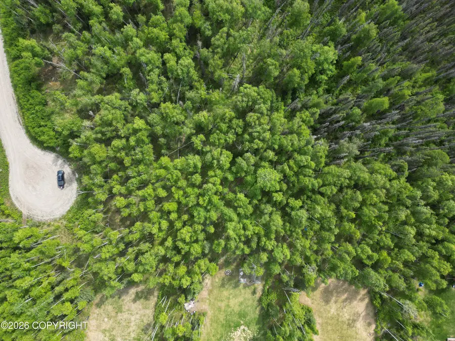4504 N Great Horn Circle, Wasilla, AK 99654 - #2