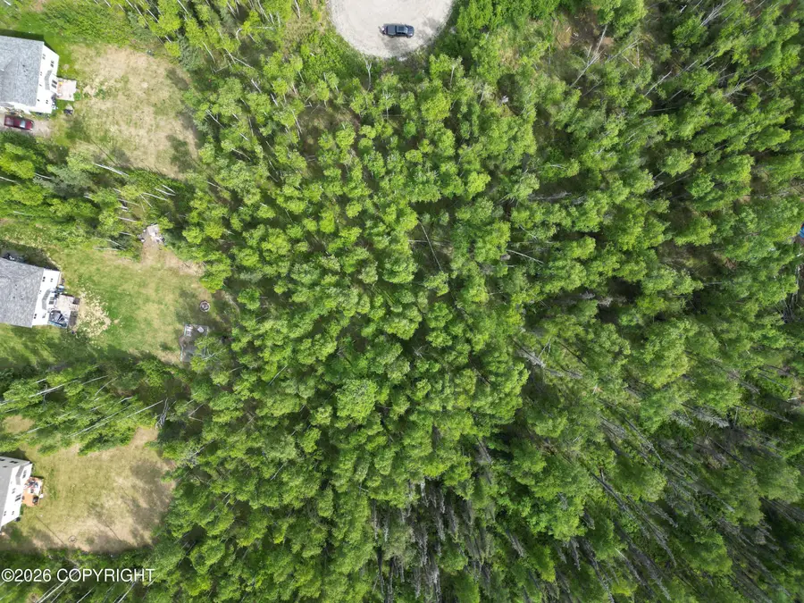 4504 N Great Horn Circle, Wasilla, AK 99654 - #3