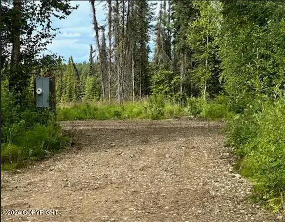 49365 S Noahs Circle, Willow, AK 99688 - #2
