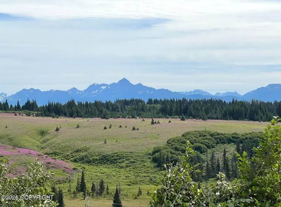 59797 Lookout Mountain Lane, Homer, AK 99603 - #2