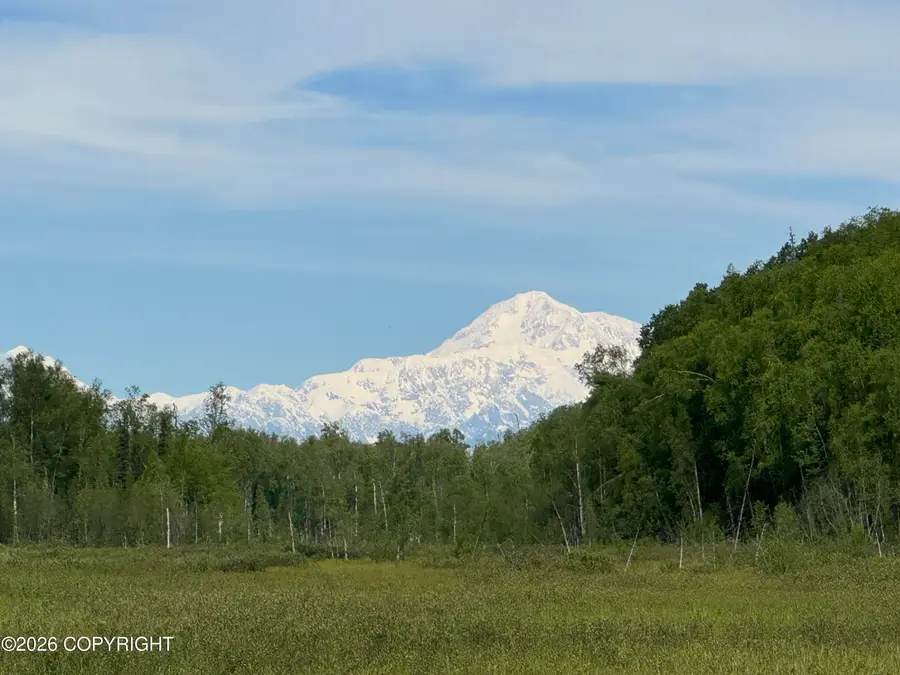 32500 S Talkeetna Spur Road, Talkeetna, AK 99676 - #2