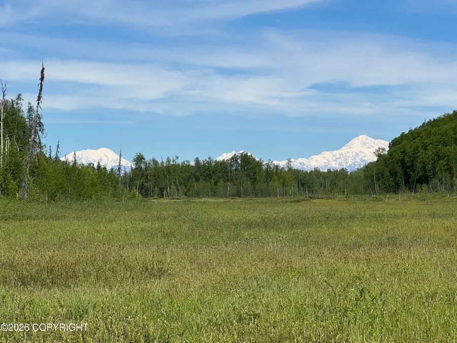 32500 S Talkeetna Spur Road, Talkeetna, AK 99676 - #3