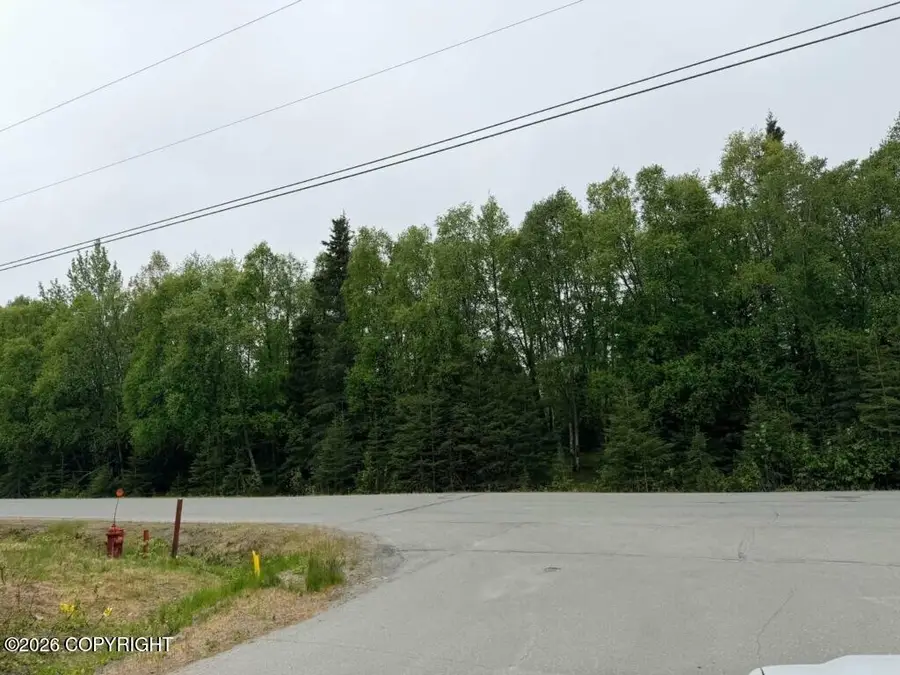 213 Evergreen Street, Kenai, AK 99611 - #2