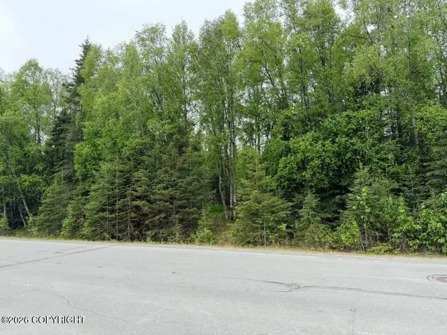 213 Evergreen Street, Kenai, AK 99611 - #3