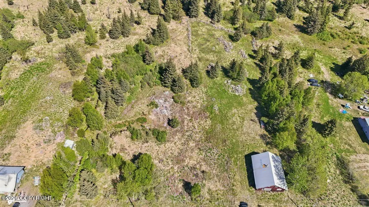 65131 Nikolaevsk Road, Nikolaevsk, AK 99556 - #1