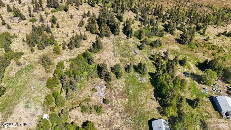 65131 Nikolaevsk Road, Nikolaevsk, AK 99556 - #3