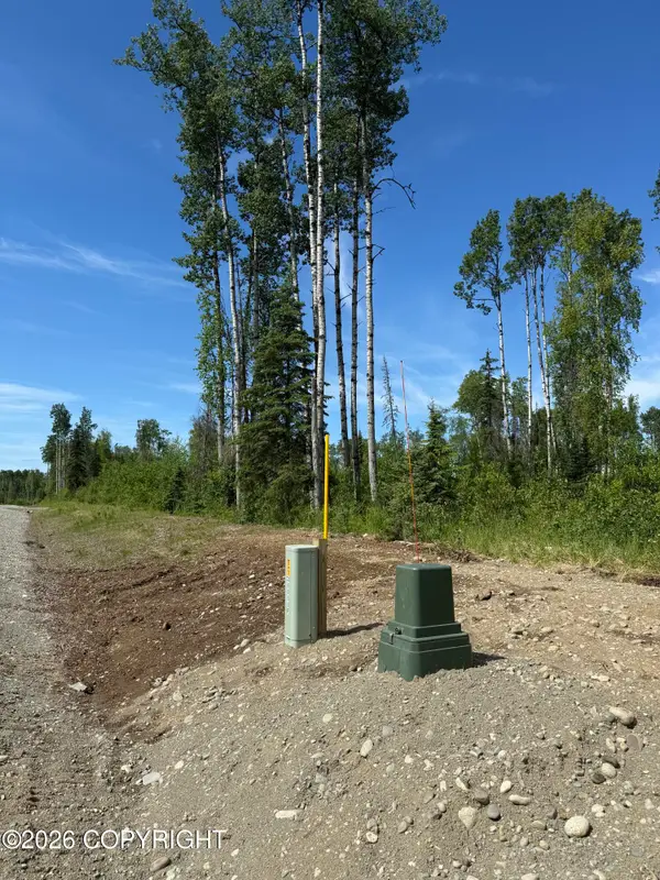 17749 E Yeldarb Avenue, Talkeetna, AK 99676