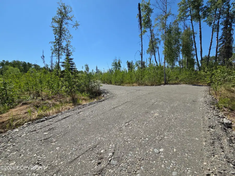 17749 E Yeldarb Avenue, Talkeetna, AK 99676 - #3